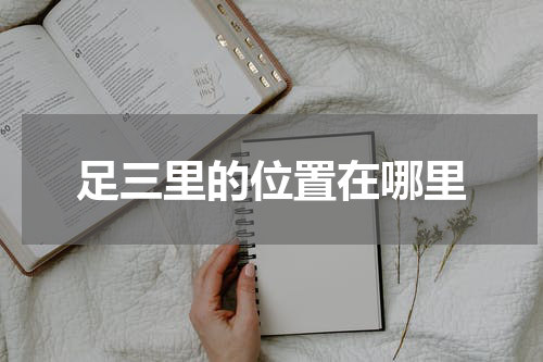 足三里的位置在哪里