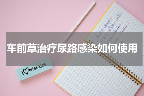 车前草治疗尿路感染如何使用
