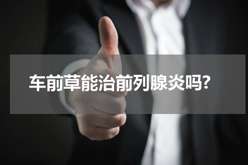 车前草能治前列腺炎吗?