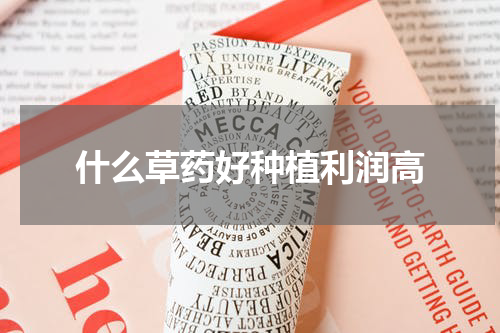 什么草药好种植利润高