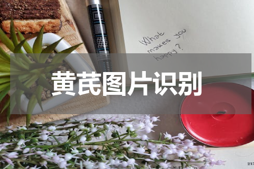 黄芪图片识别