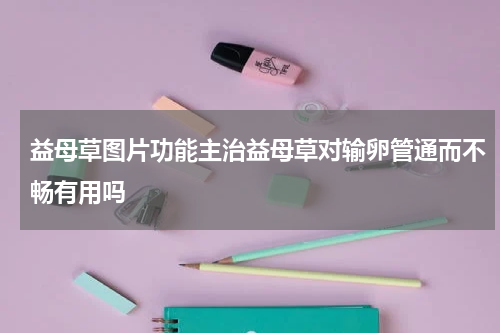 益母草图片功能主治益母草对输卵管通而不畅有用吗