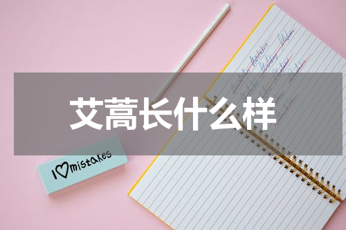 艾蒿长什么样
