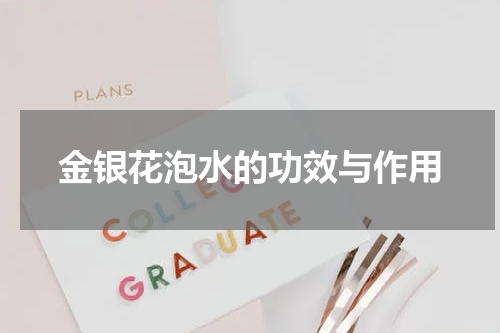 金银花泡水的功效与作用