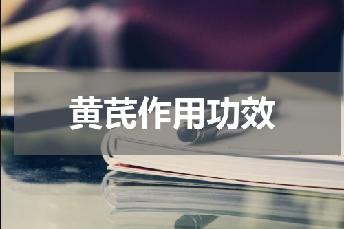 黄芪作用功效