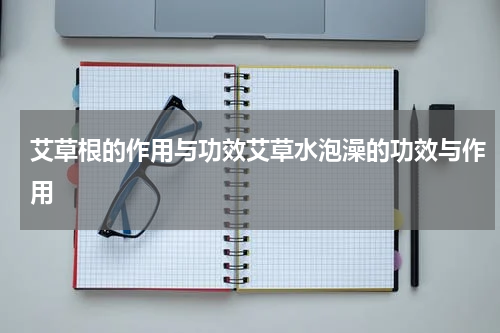 艾草根的作用与功效艾草水泡澡的功效与作用