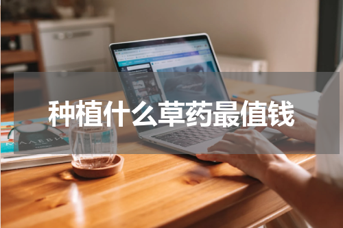 种植什么草药最值钱
