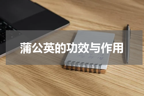 蒲公英的功效与作用