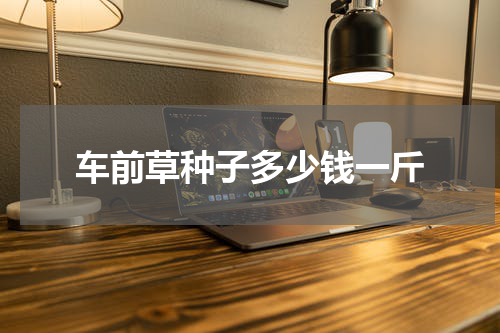 车前草种子多少钱一斤