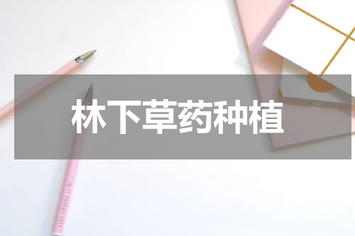 林下草药种植