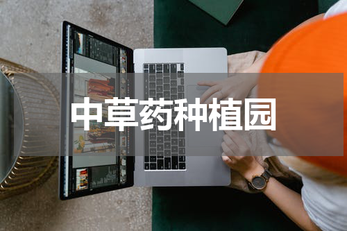 中草药种植园