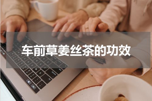 车前草姜丝茶的功效