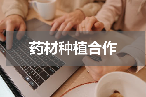 药材种植合作