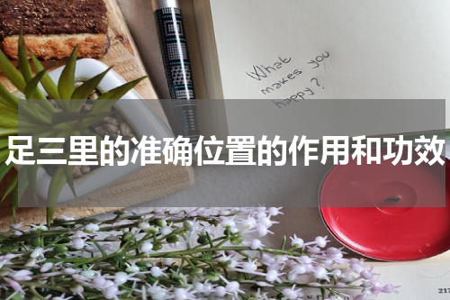 足三里的准确位置的作用和功效