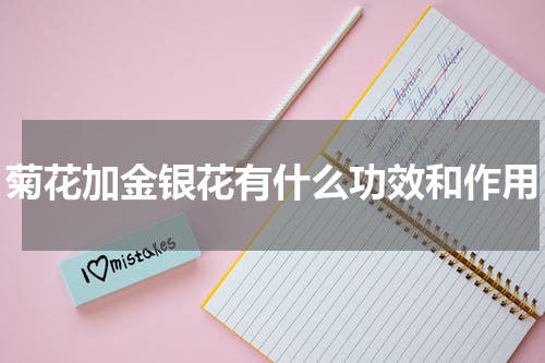 菊花加金银花有什么功效和作用
