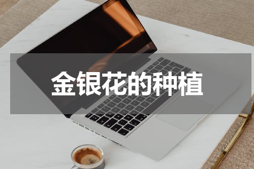 金银花的种植