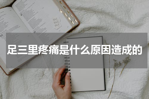 足三里疼痛是什么原因造成的