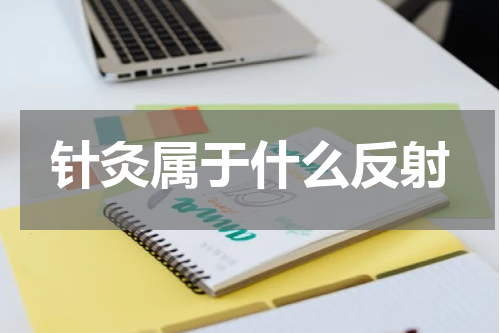 针灸属于什么反射