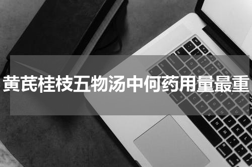黄芪桂枝五物汤中何药用量最重
