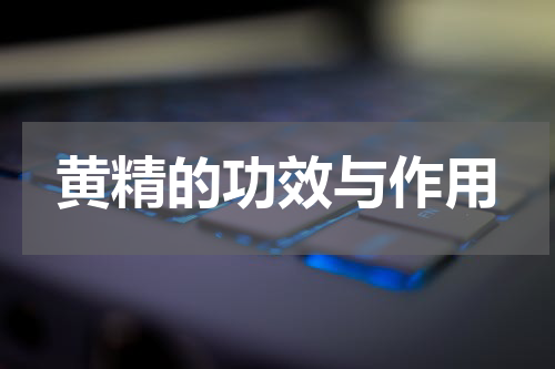 黄精的功效与作用
