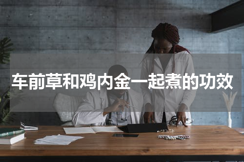 车前草和鸡内金一起煮的功效