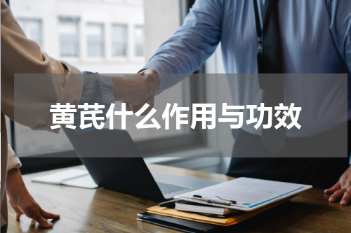 黄芪什么作用与功效