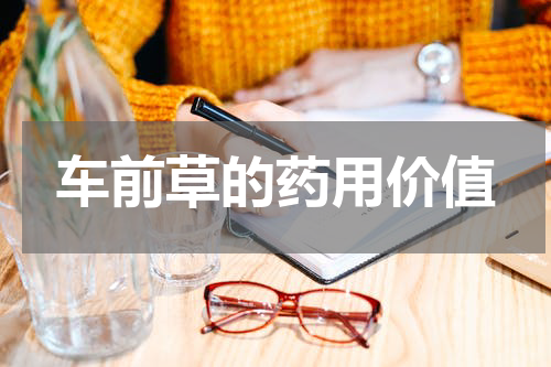 车前草的药用价值