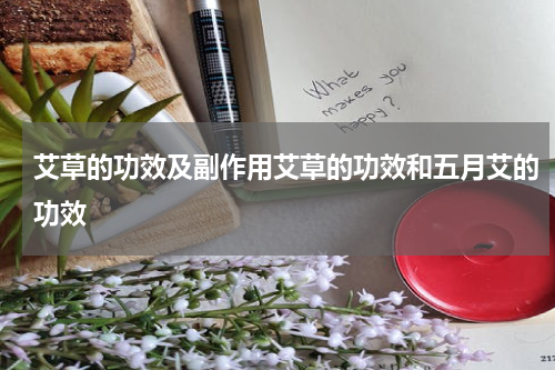 艾草的功效及副作用艾草的功效和五月艾的功效