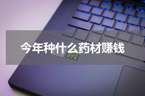 今年种什么药材赚钱