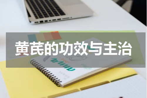 黄芪的功效与主治