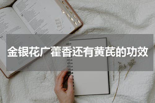 金银花广藿香还有黄芪的功效