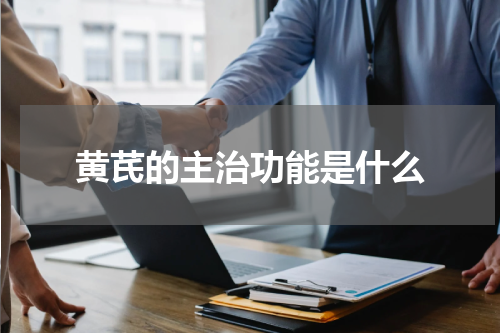 黄芪的主治功能是什么