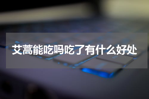 艾蒿能吃吗吃了有什么好处