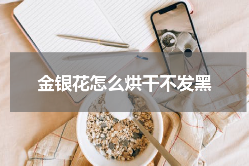 金银花怎么烘干不发黑