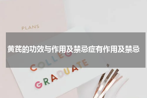 黄芪的功效与作用及禁忌症有作用及禁忌