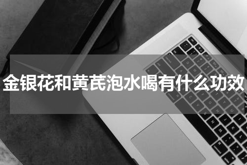 金银花和黄芪泡水喝有什么功效