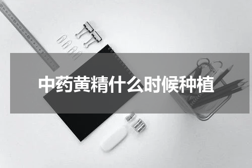 中药黄精什么时候种植