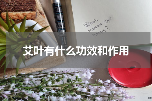 艾叶有什么功效和作用