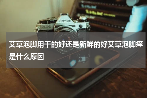 艾草泡脚用干的好还是新鲜的好艾草泡脚痒是什么原因