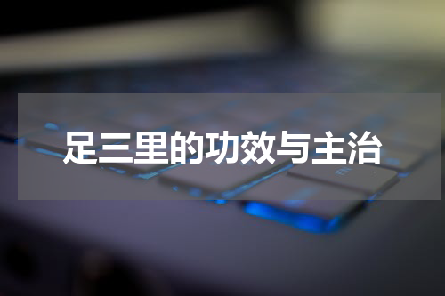 足三里的功效与主治