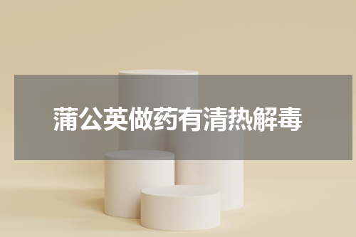 蒲公英做药有清热解毒