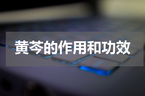 黄芩的作用和功效