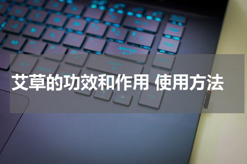 艾草的功效和作用 使用方法