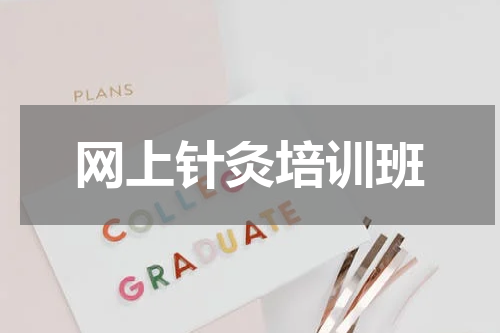 网上针灸培训班