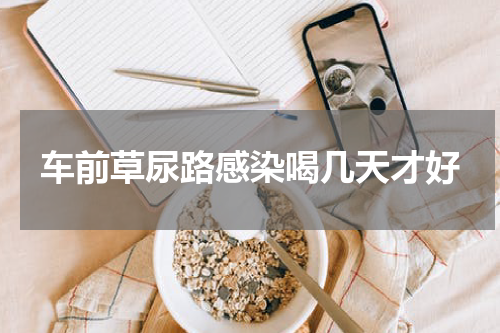 车前草尿路感染喝几天才好