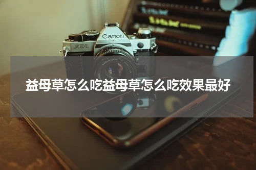益母草怎么吃益母草怎么吃效果最好