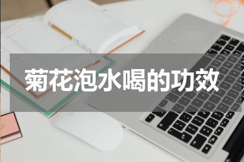 菊花泡水喝的功效