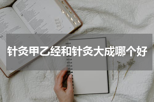 针灸甲乙经和针灸大成哪个好