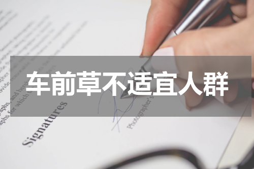 车前草不适宜人群