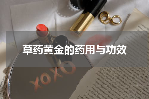 草药黄金的药用与功效